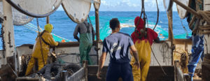 Olivier, en stage dans une PME d'armement de pêche